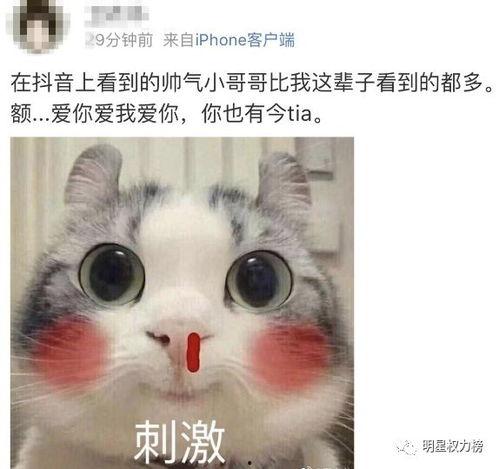 吃小瓜抖音,揭秘网红美食背后的故事
