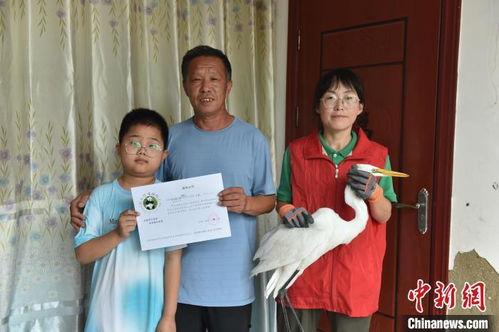 景县梁集镇头条新闻,聚焦乡村振兴，梁集发展新篇章