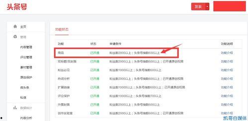 头条号商品功能从哪看,【头条号商品功能解析】轻松实现内容变现的秘密武器
