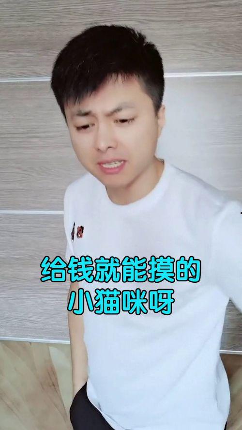 头条明星宠物大全,萌宠与明星的甜蜜互动