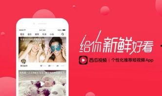 头条视频里面的字,字里行间的秘密与启示