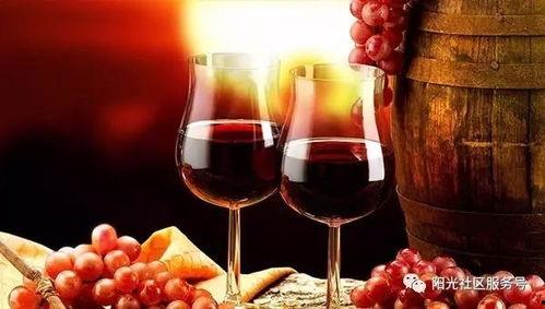 红酒吃瓜女主,一场别开生面的浪漫邂逅