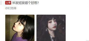 吃瓜主播博主吃瓜,吃瓜主播博主的瓜田奇遇记