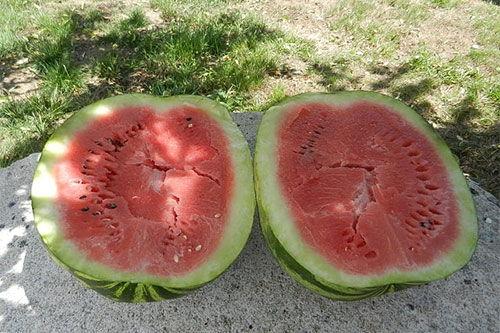 梦到老公在吃瓜,老公吃瓜背后的温馨寓意