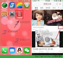 录播头条下载,揭秘热门视频内容背后的下载奥秘