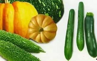 老6吃瓜视频,娱乐圈幕后真相大曝光